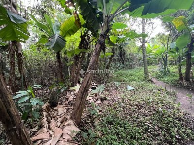 Terreno à venda com 4.215m² no bairro Ribeirão da Ilha em Florianópolis - Foto 17