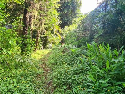 Terreno à venda com 70m² no bairro Rio Tavares em Florianópolis - Foto 3