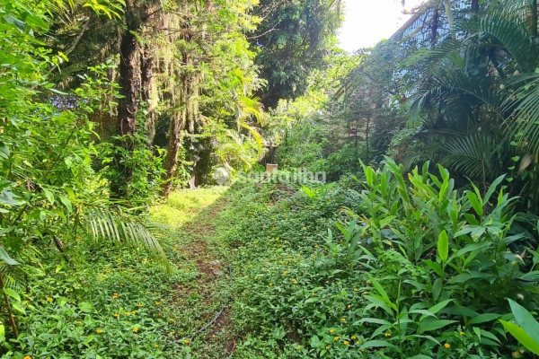 Terreno à venda com 70m² no bairro Rio Tavares em Florianópolis
