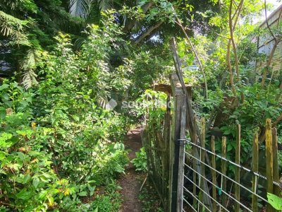 Terreno à venda com 70m² no bairro Rio Tavares em Florianópolis - Foto 4