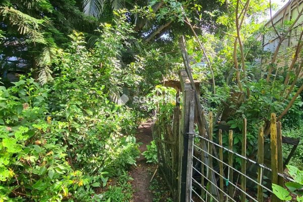 Terreno à venda com 70m² no bairro Rio Tavares em Florianópolis