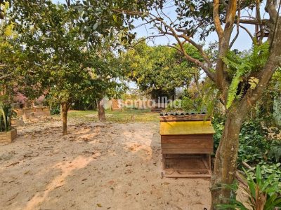 Terreno à venda com 481m² no bairro Rio Tavares em Florianópolis - Foto 12