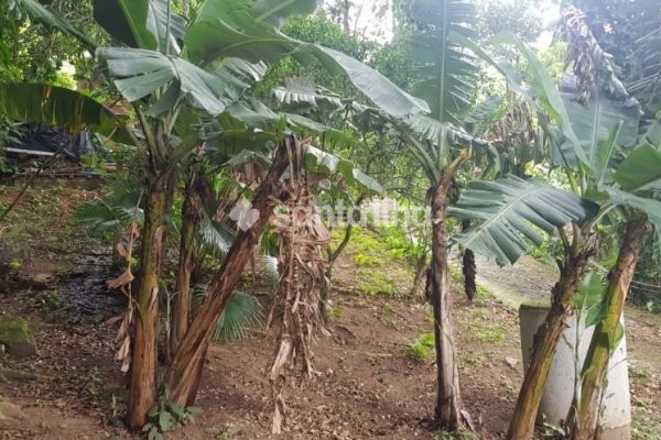 Terreno à venda com 360m² no bairro Lagoa da Conceição em Florianópolis