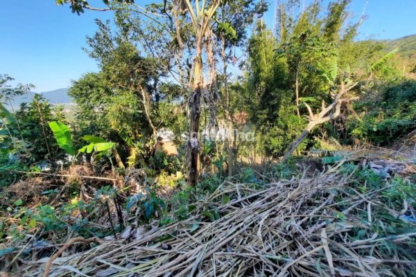 Terreno à venda com 390m² no bairro Pântano do Sul em Florianópolis