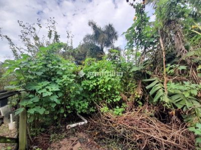 Terreno à venda com 3.162m² no bairro Morro das Pedras em Florianópolis - Foto 5