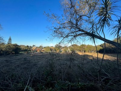 Terreno para alugar com 55m², 20 vagas no bairro Rio Tavares em Florianópolis - Foto 10