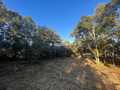 Terreno para alugar com 55m², 20 vagas no bairro Rio Tavares em Florianópolis - Foto 2