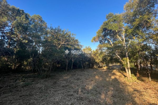 Terreno para alugar com 55m², 20 vagas no bairro Rio Tavares em Florianópolis