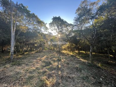 Terreno para alugar com 55m², 20 vagas no bairro Rio Tavares em Florianópolis - Foto 3