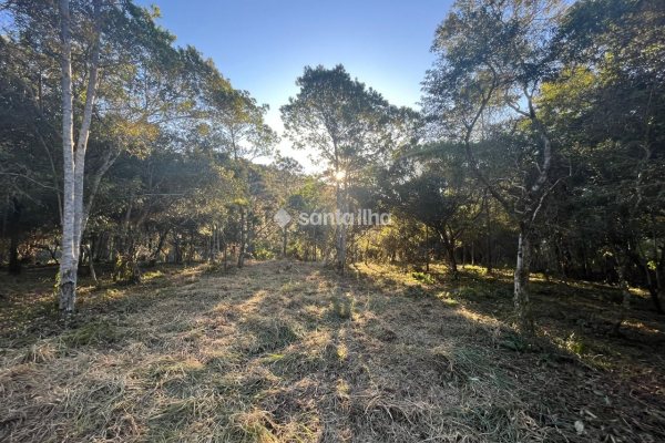 Terreno para alugar com 55m², 20 vagas no bairro Rio Tavares em Florianópolis
