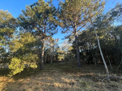Terreno para alugar com 55m², 20 vagas no bairro Rio Tavares em Florianópolis - Foto 6
