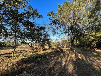 Terreno para alugar com 55m², 20 vagas no bairro Rio Tavares em Florianópolis - Foto 4