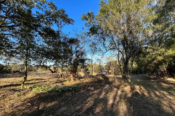 Terreno para alugar com 55m², 20 vagas no bairro Rio Tavares em Florianópolis