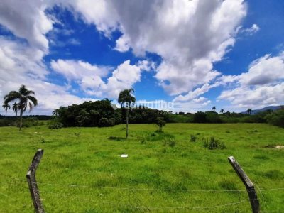 Terreno à venda com 55.409m² no bairro Campeche em Florianópolis - Foto 10