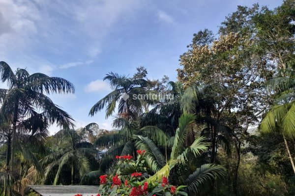 Terreno à venda com 702m² no bairro Pântano do Sul em Florianópolis