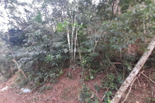 Terreno à venda com 702m² no bairro Pântano do Sul em Florianópolis