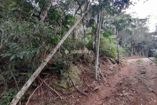 Terreno à venda com 702m² no bairro Pântano do Sul em Florianópolis