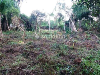 Terreno à venda com 3.162m² no bairro Morro das Pedras em Florianópolis - Foto 3