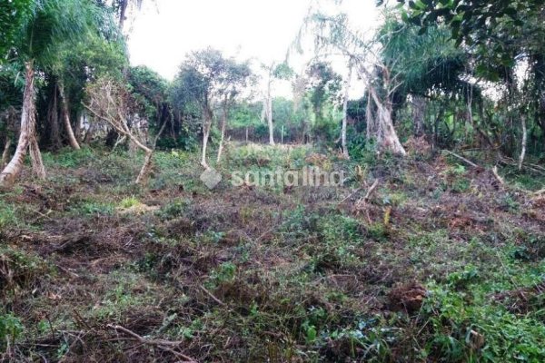 Terreno à venda com 3.162m² no bairro Morro das Pedras em Florianópolis