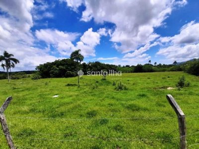 Terreno à venda com 55.409m² no bairro Campeche em Florianópolis - Foto 7