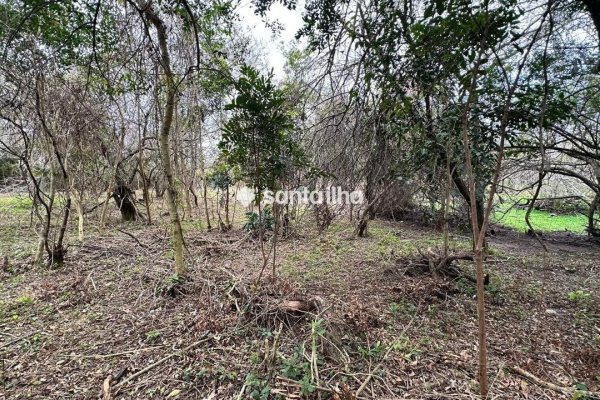 Terreno à venda com 399m² no bairro Açores em Florianópolis