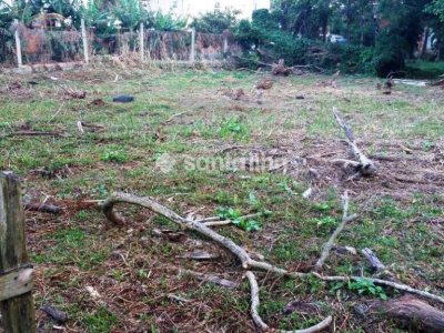 Terreno à venda com 3.162m² no bairro Morro das Pedras em Florianópolis - Foto 2