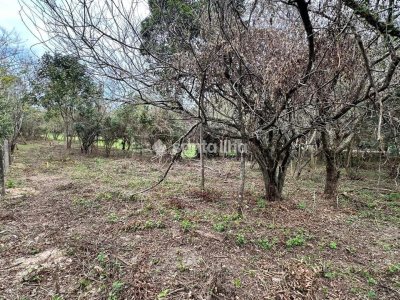 Terreno à venda com 382m² no bairro Açores em Florianópolis - Foto 3