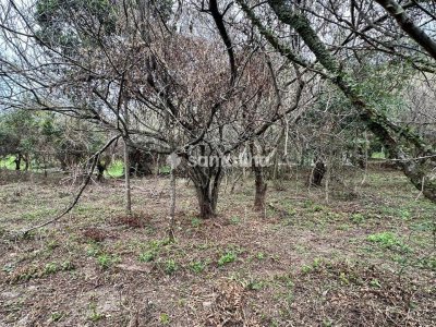Terreno à venda com 382m² no bairro Açores em Florianópolis - Foto 4