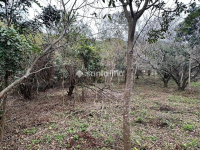 Terreno à venda com 382m² no bairro Açores em Florianópolis - Foto 5