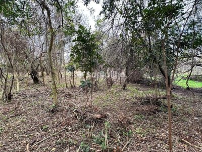 Terreno à venda com 382m² no bairro Açores em Florianópolis - Foto 7
