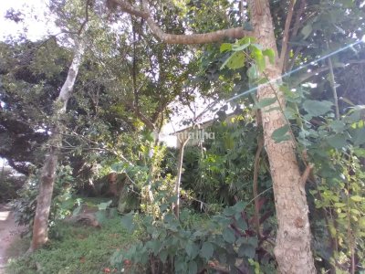 Terreno à venda com 2.080m², 1 vaga no bairro Tapera em Florianópolis - Foto 12