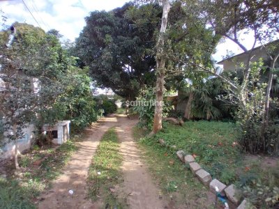 Terreno à venda com 2.080m², 1 vaga no bairro Tapera em Florianópolis - Foto 13