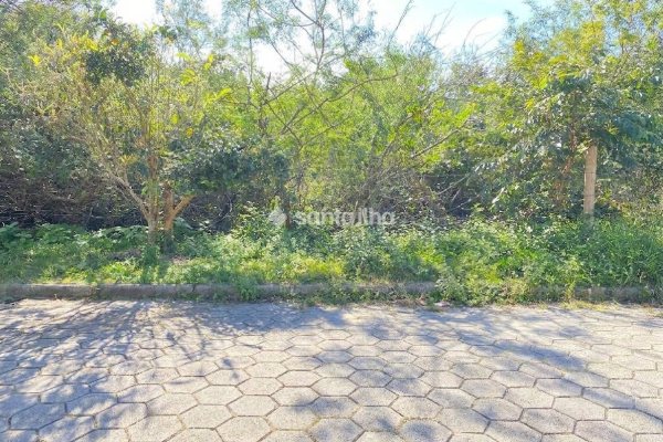 Terreno à venda com 383m² no bairro Pântano do Sul em Florianópolis