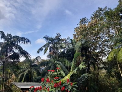 Terreno à venda com 702m² no bairro Pântano do Sul em Florianópolis - Foto 10