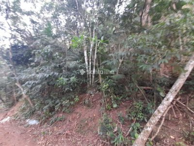 Terreno à venda com 720m² no bairro Pântano do Sul em Florianópolis - Foto 4