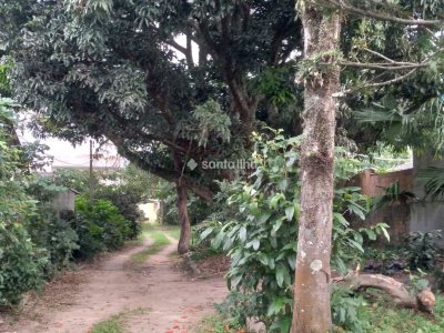 Terreno à venda com 2.080m², 1 vaga no bairro Tapera em Florianópolis - Foto 15