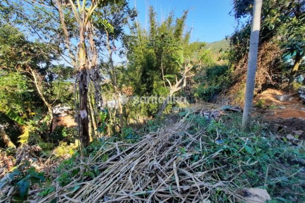 Terreno à venda com 390m² no bairro Pântano do Sul em Florianópolis