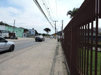 Terreno à venda com 3.200m² no bairro Rio Tavares em Florianópolis - Foto 6