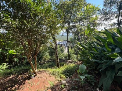 Casa à venda com 220m², 5 quartos, 2 suítes, 4 vagas no bairro Rio Tavares em Florianópolis - Foto 23