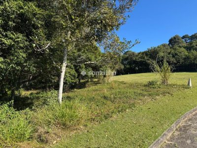 Terreno à venda com 1.302m², 1 vaga no bairro Campeche em Florianópolis - Foto 3