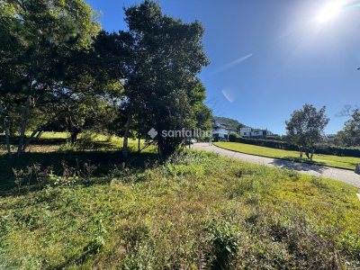 Terreno à venda com 1.302m², 1 vaga no bairro Campeche em Florianópolis - Foto 6