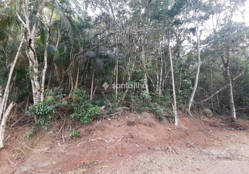 Terreno à venda com 720m², 1 quarto no bairro Pântano do Sul em Florianópolis - Foto 1