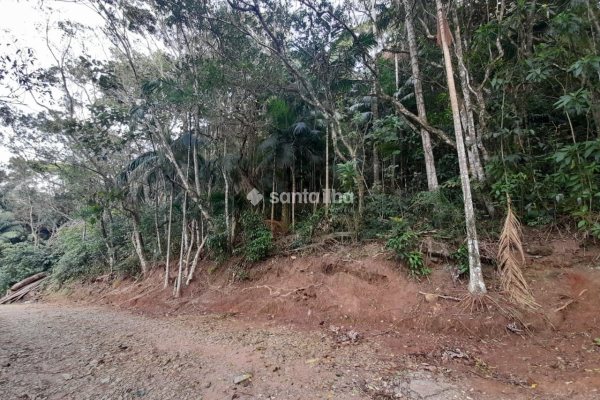 Terreno à venda com 720m², 1 quarto no bairro Pântano do Sul em Florianópolis