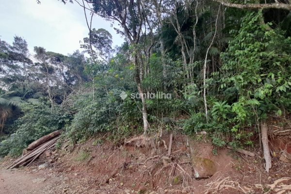 Terreno à venda com 720m², 1 quarto no bairro Pântano do Sul em Florianópolis