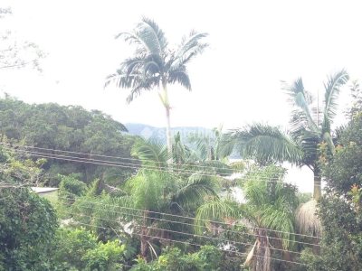 Casa à venda com 172m², 4 quartos, 2 suítes, 5 vagas no bairro Lagoa da Conceição em Florianópolis - Foto 32