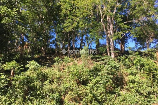 Terreno à venda com 1.752m² no bairro Ribeirão da Ilha em Florianópolis