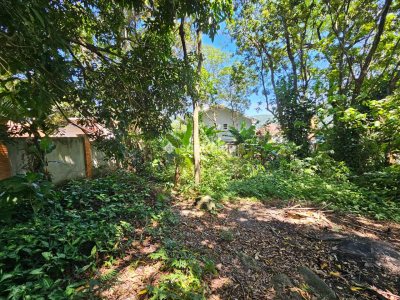 Terreno à venda com 407m², 1 vaga no bairro Rio Tavares em Florianópolis - Foto 2