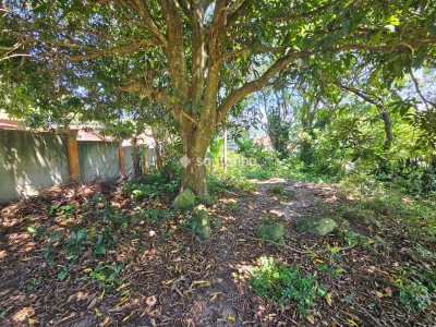 Terreno à venda com 407m², 1 vaga no bairro Rio Tavares em Florianópolis - Foto 3