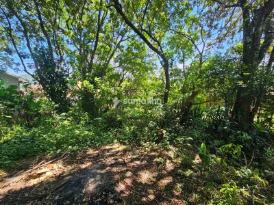 Terreno à venda com 407m², 1 vaga no bairro Rio Tavares em Florianópolis - Foto 6