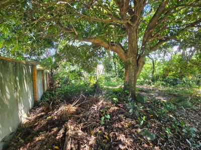 Terreno à venda com 407m², 1 vaga no bairro Rio Tavares em Florianópolis - Foto 7